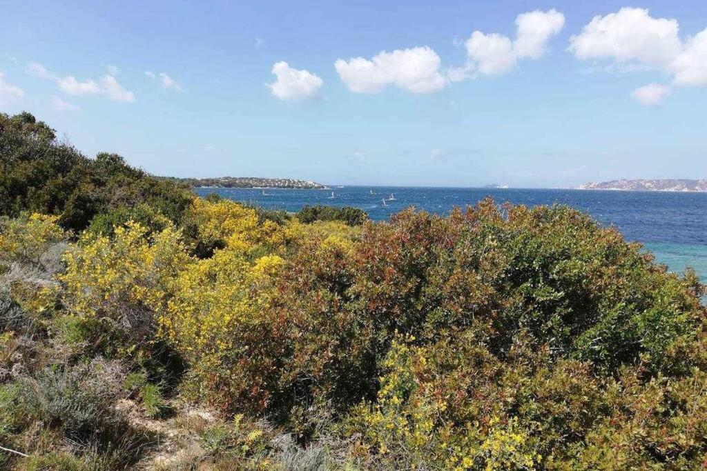 شقة Casa Di Lu' - Bilocale Con Giardino - بورتو بولو المظهر الخارجي الصورة